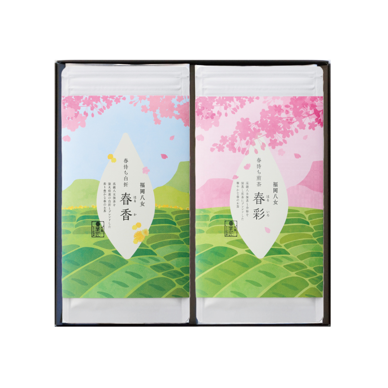 八女抹茶入り煎茶 春彩 お茶ギフト｜八女茶・深蒸し茶・玉露・日本茶の