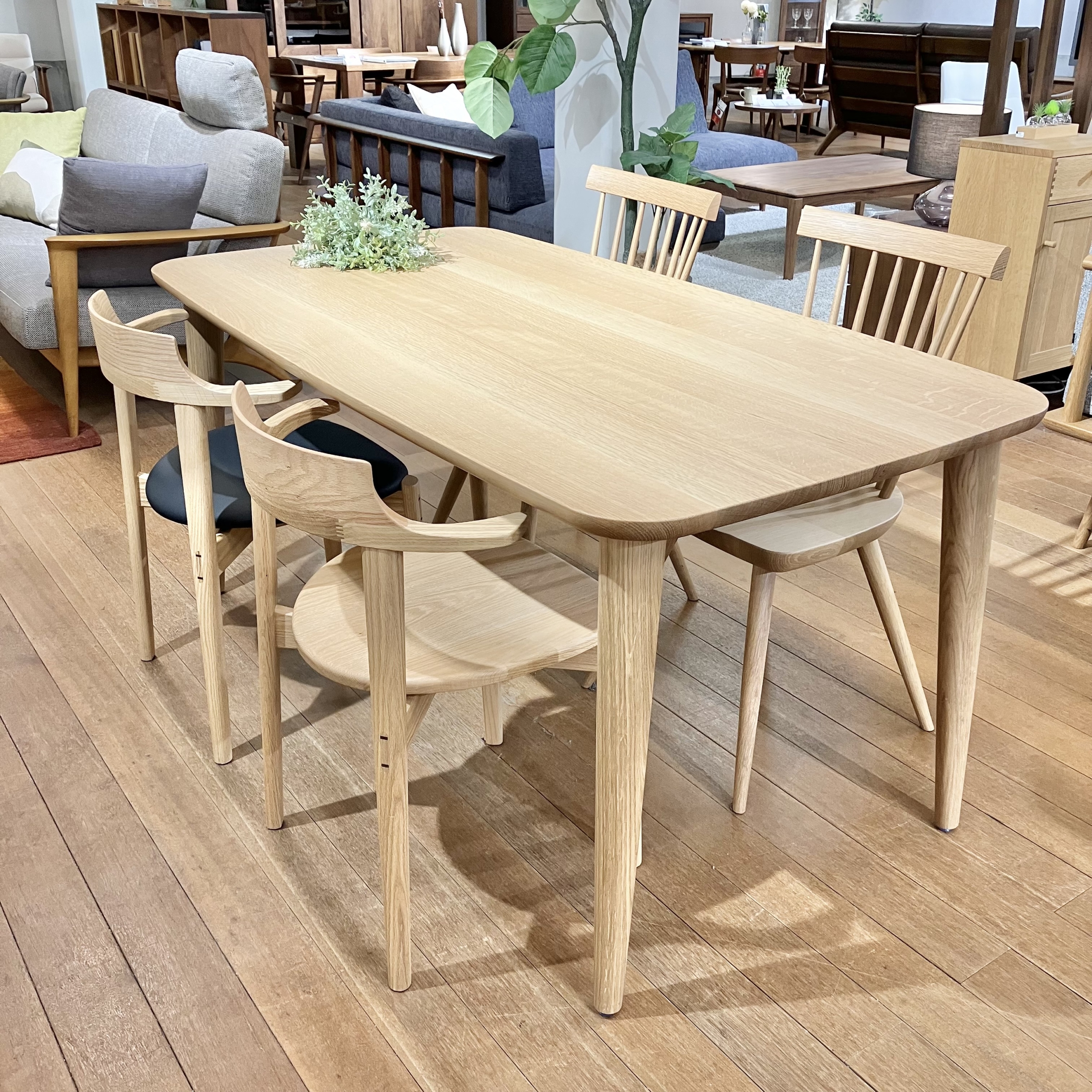 HIDA・ダイニングテーブルとイバタインテリア・チェアの組み合わせのご