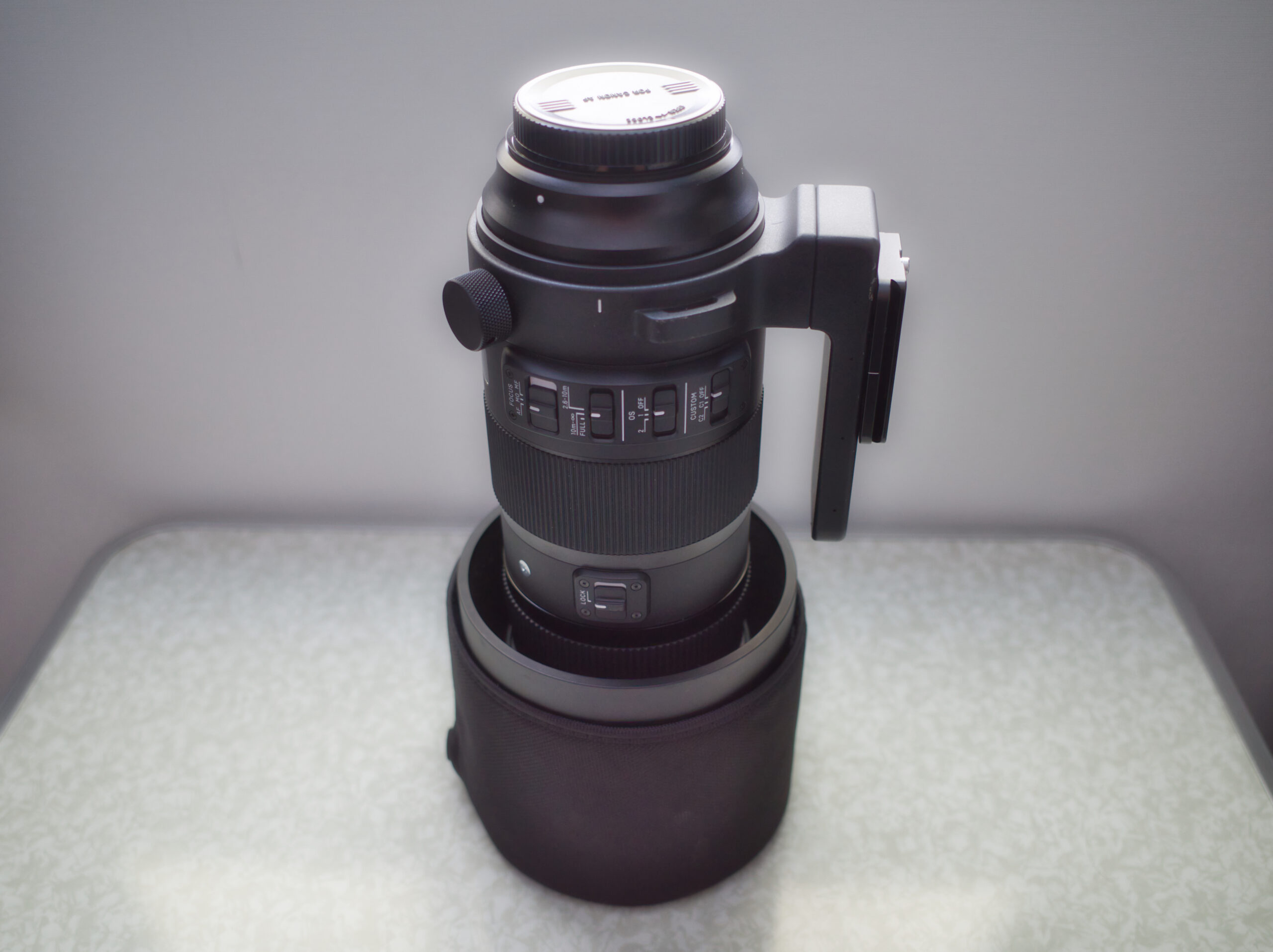 Sigma 150-600mm F5-6.3 DG OS HSM Sports テレコンキットで超望遠