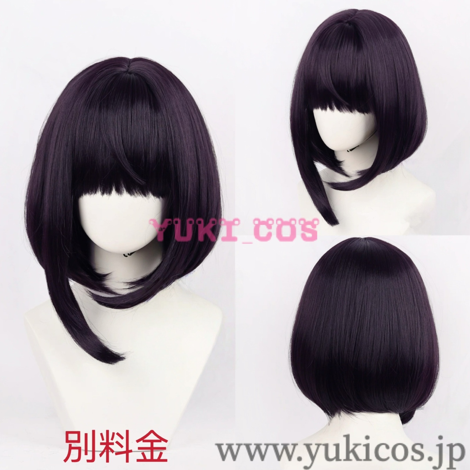 ポケットモンスター Pokémon LEGENDS Z-A ポケモンレジェンズゼット