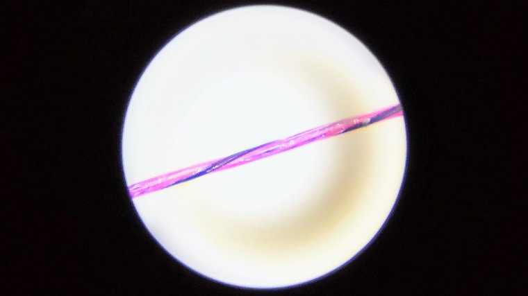 大明解】鮎水中糸まるわかり！素材・号数・強度別適糸適所のライン選び