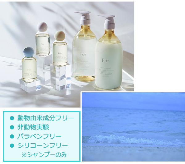For オーセンティック シャンプー＆トリートメント