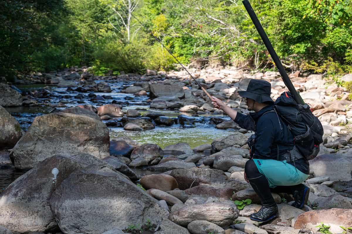 シマノ 天平テンカラNB LLS33レビュー！ちょっと良いテンカラ竿を買う