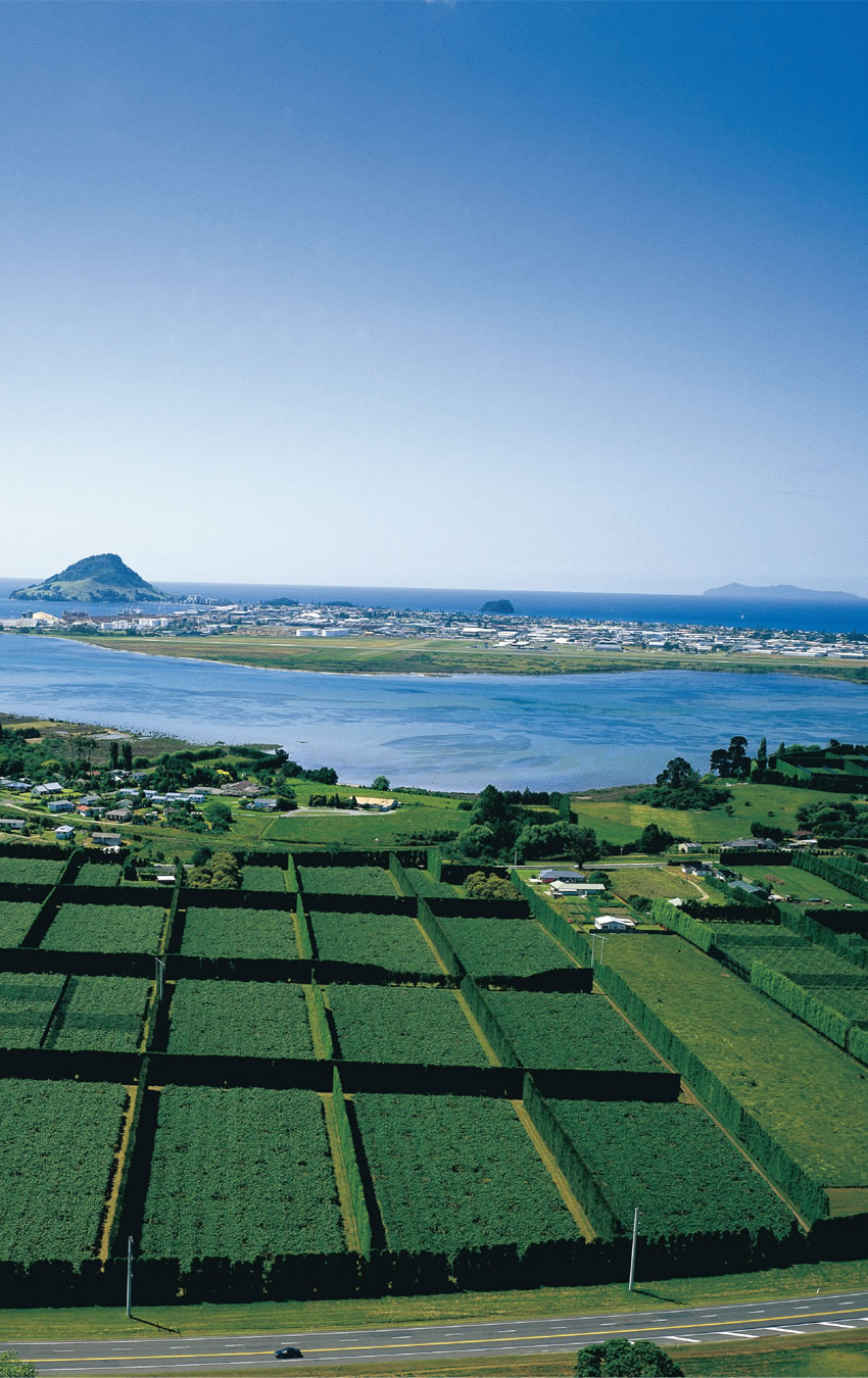 7年目にして初めての立ちポーズ！毎年、SNSで話題沸騰の【数量限定