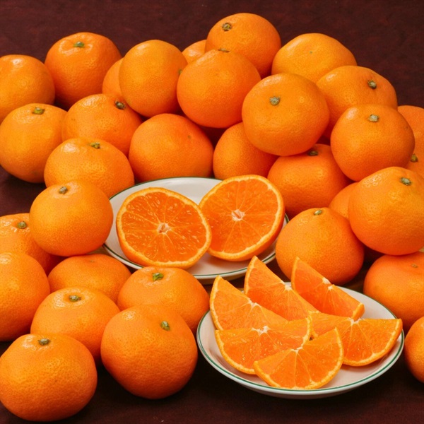 有田小みかん3kg 12月上旬発送開始 | 全農食品オンラインショップ