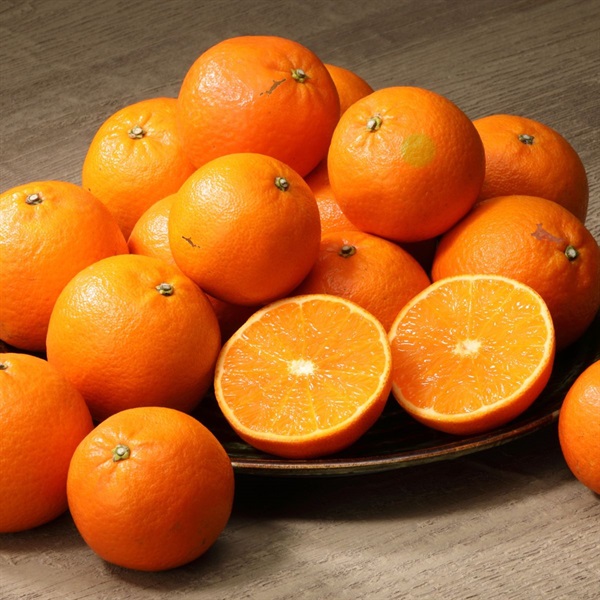 タンカン 3月上旬発送開始 | 全農食品オンラインショップ