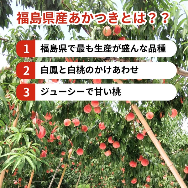 あかつき 7月下旬発送開始 | 全農食品オンラインショップ