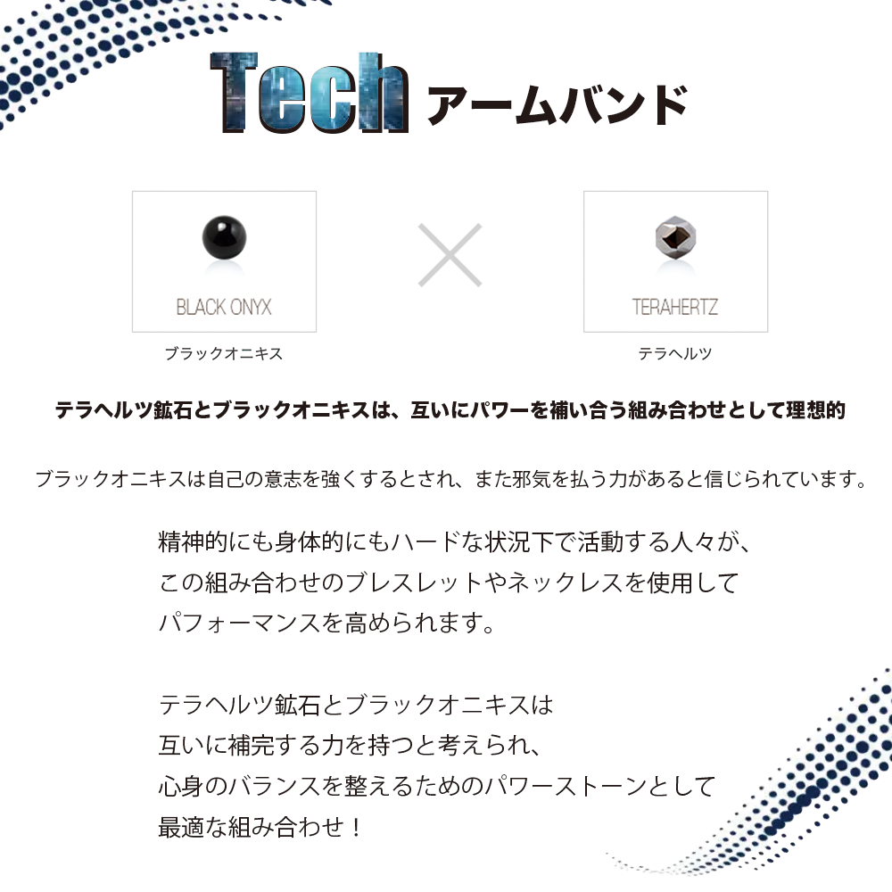 ACCESS DELICATE PLANET バンドスコア アクセス 初版 良品 BS アクセス