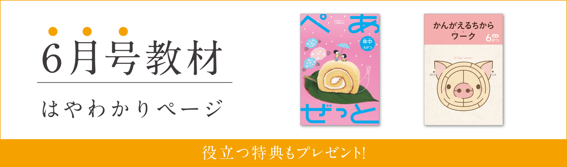 なーさん】【Z会年中コース】ワーク/ぺあぜっと≪4～3月号≫ Z会 年長