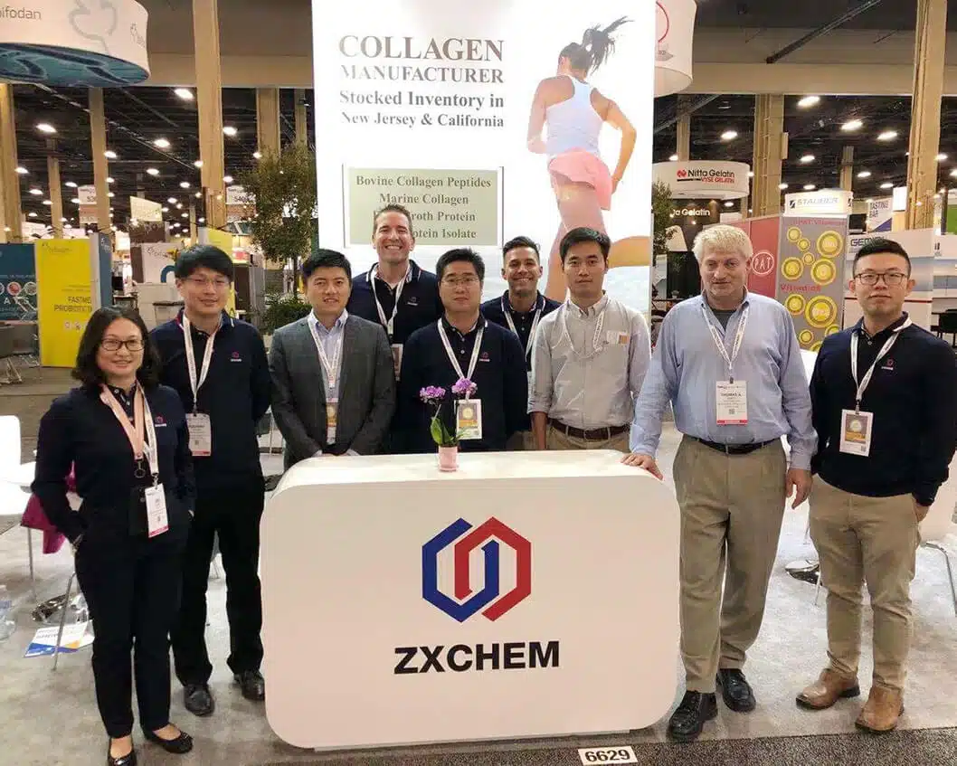 ZXCHEM: Exploring Global Chemical Solutions