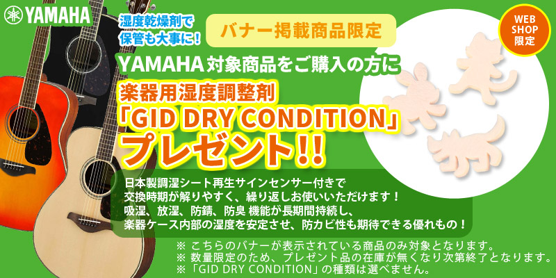 YAMAHA / LL16D ARE Natural (NT) 【専用ケースつき】 ヤマハ