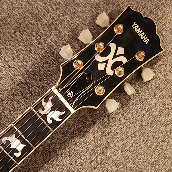 個性派モデル・ヤマハN1000をご紹介！ | イシバシ楽器スタッフブログ