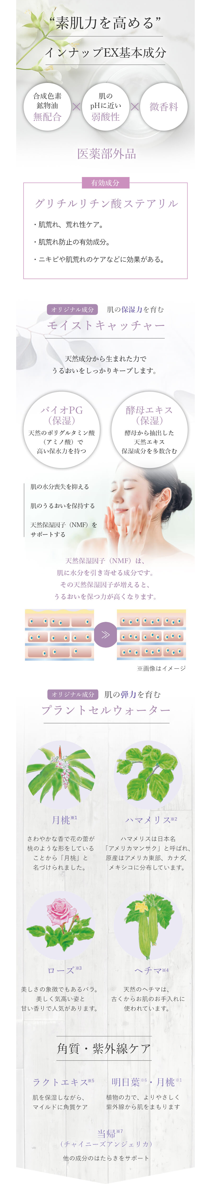 インナップEX モイスチャークリーム モア MD｜スキンケア・メイク