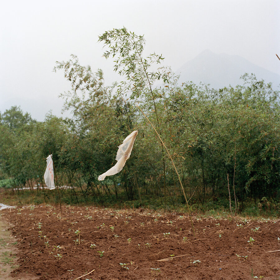 xiaoxiao xu - The way to the golden mountain
