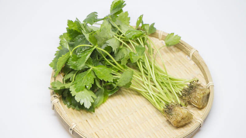 みつばの栄養素が知りたい！選び方やおすすめのレシピも紹介