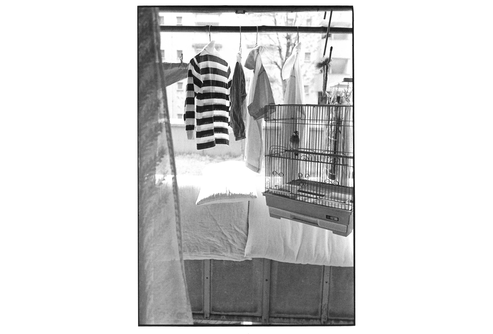 Yumiko Chiba Associates