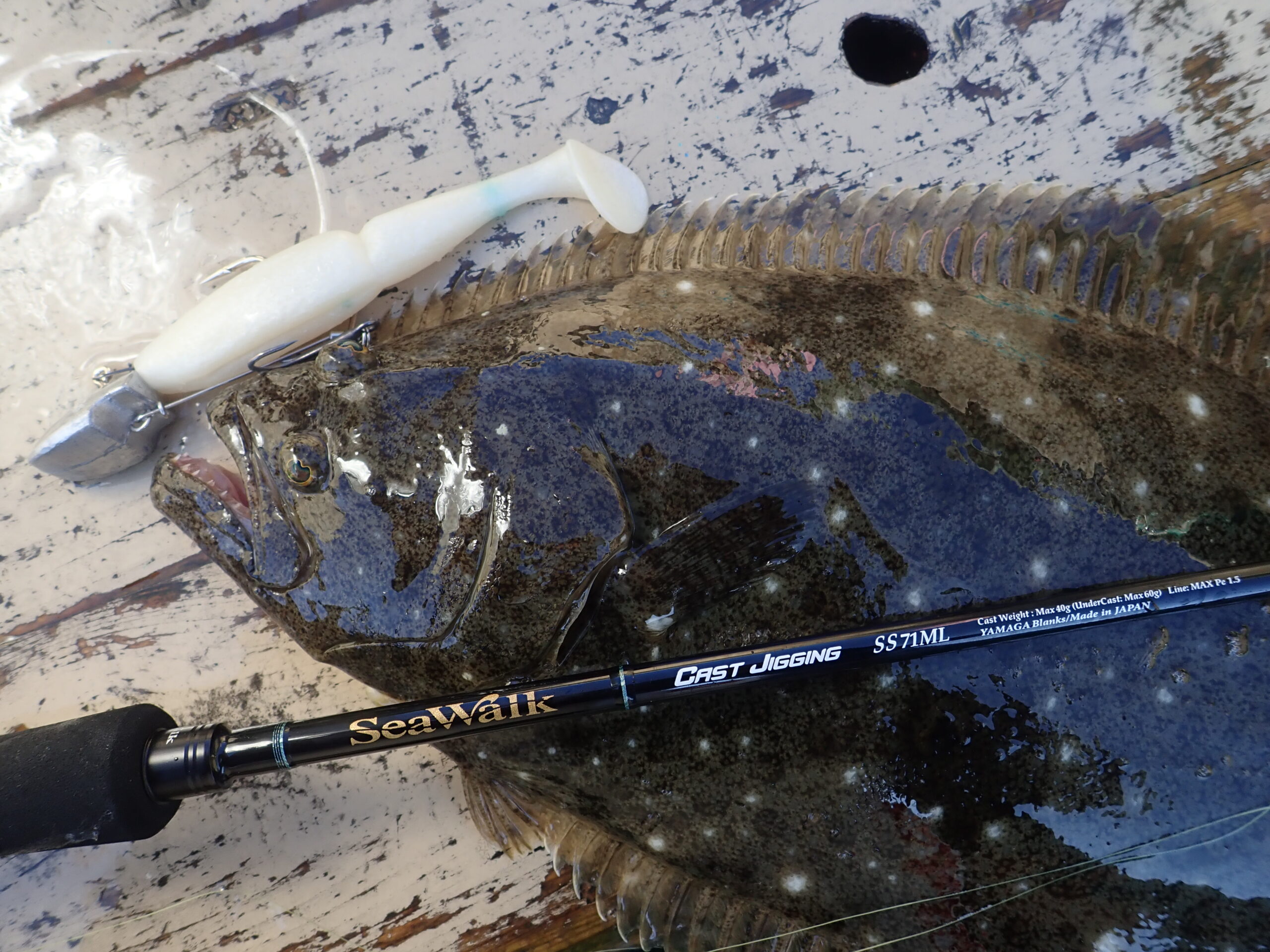 フィールドスタッフレポート】シーウォークキャストジギング発売直前