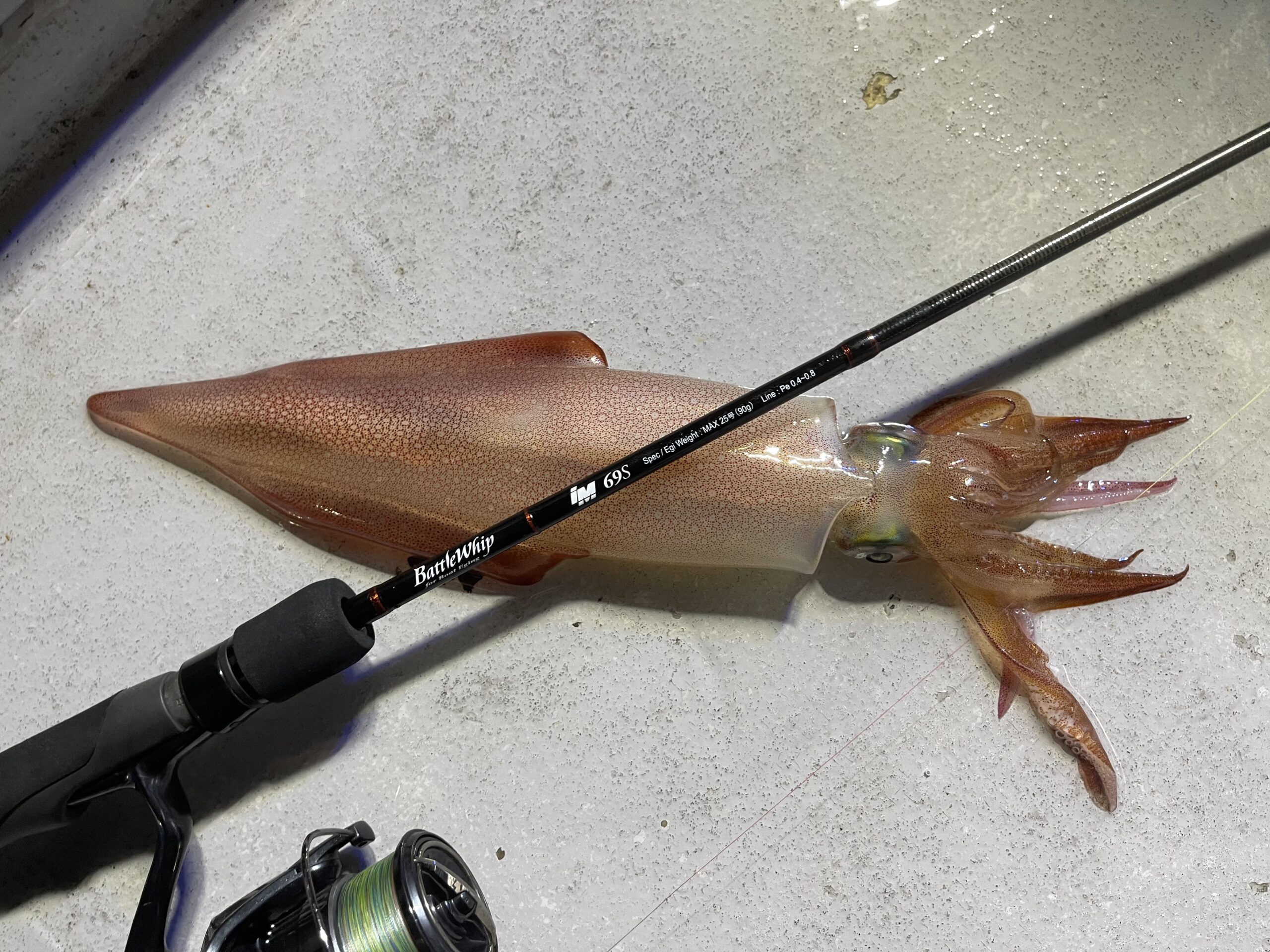 BattleWhip IM511S / 511B -イカメタルゲームを戦略的に深く愉し