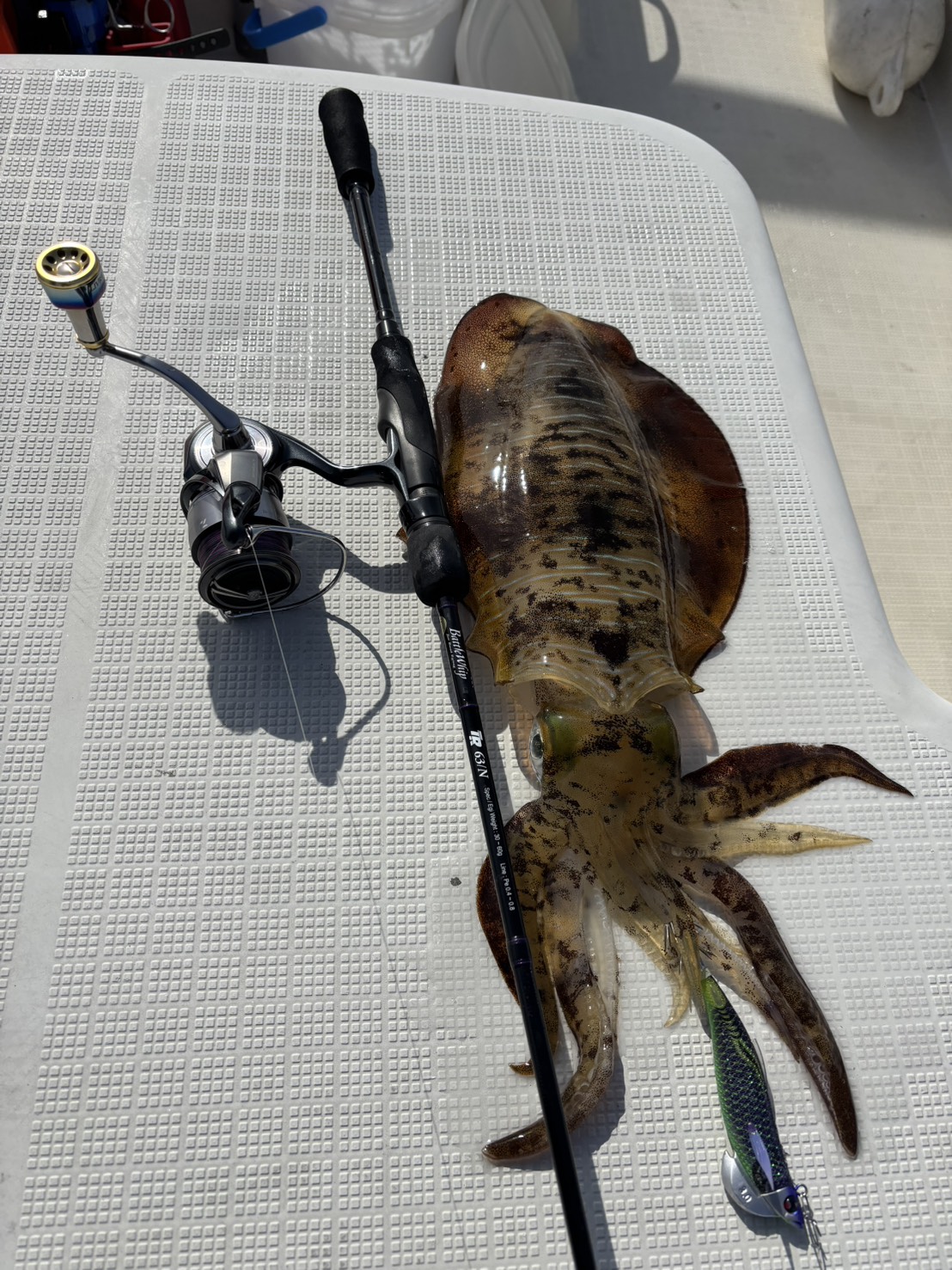 BattleWhip TR63/N × 北部九州のティップランエギング【FSレポート