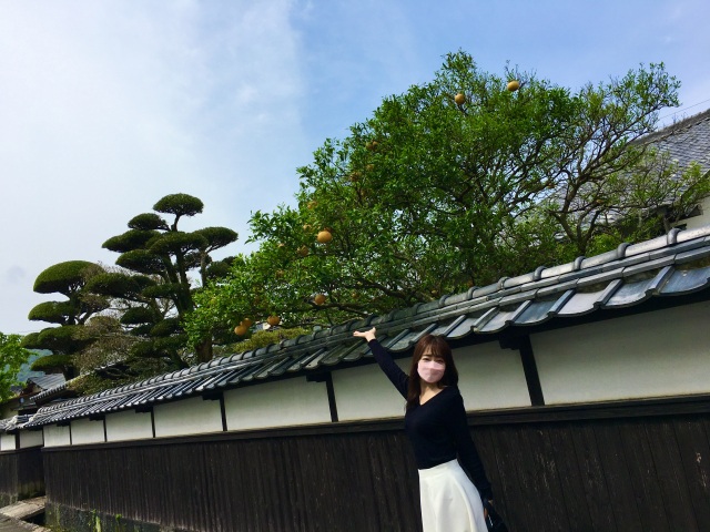 山口県のパワースポットを巡る✨開運！御朱印集めの旅♪防府天満宮・山