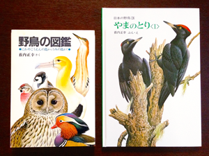 薮内正幸美術館_特集Webマガジン