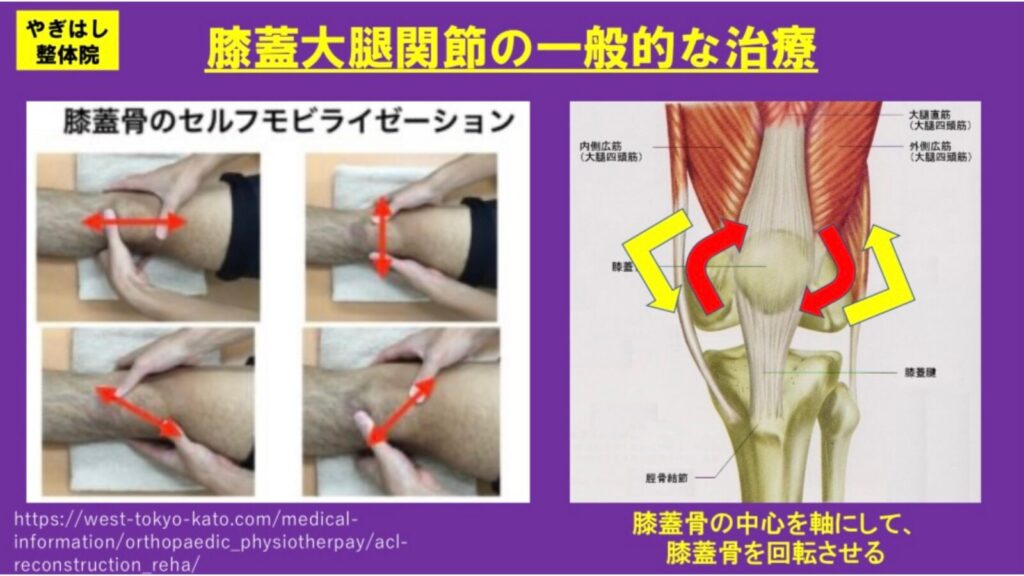 変形性膝関節症と足の柔軟性の関係 | 柏市のおすすめNo.1やぎはし整体