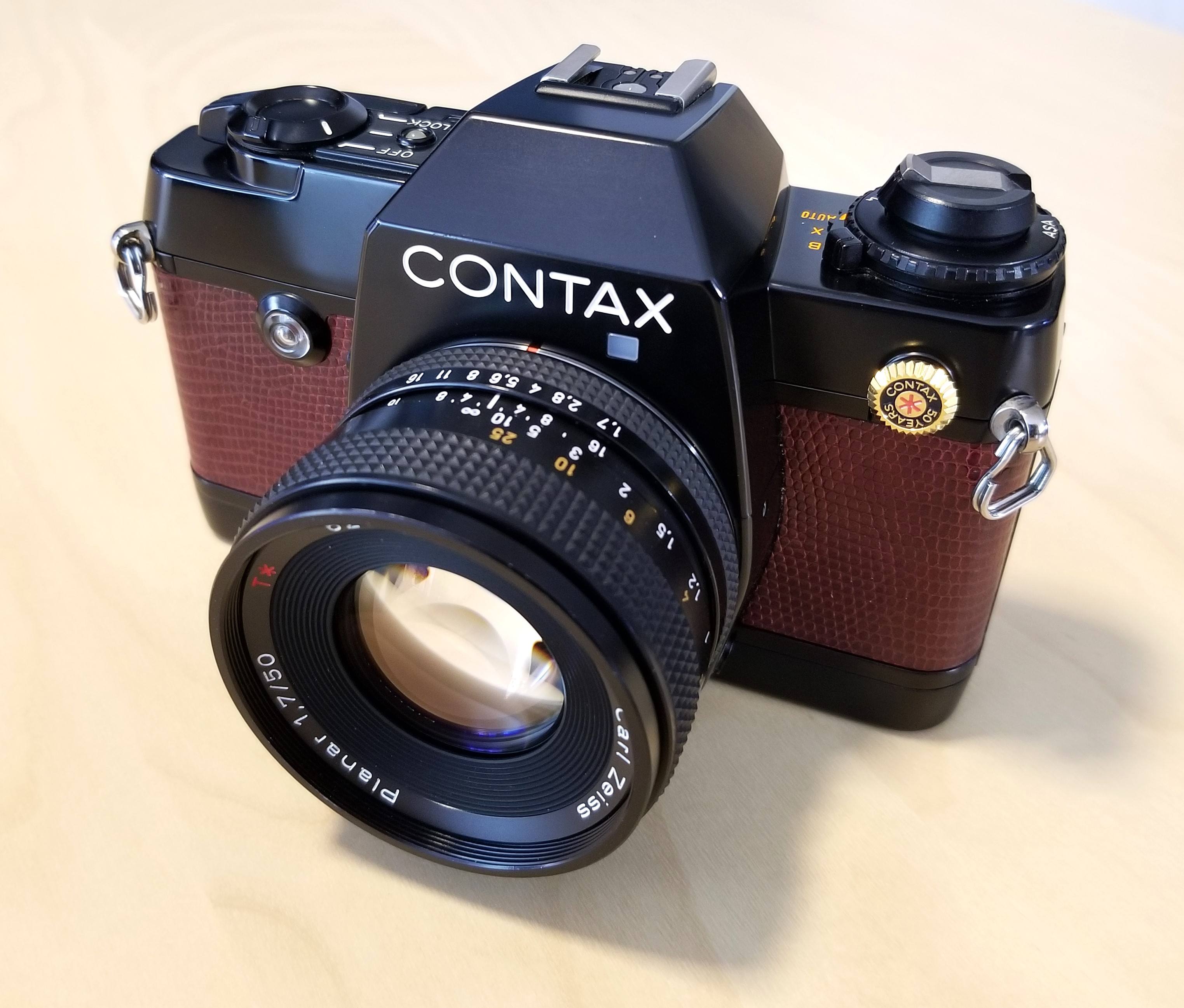 Contax 137 MD Quartz and a lizard. | Chasing Classic Cameras with
