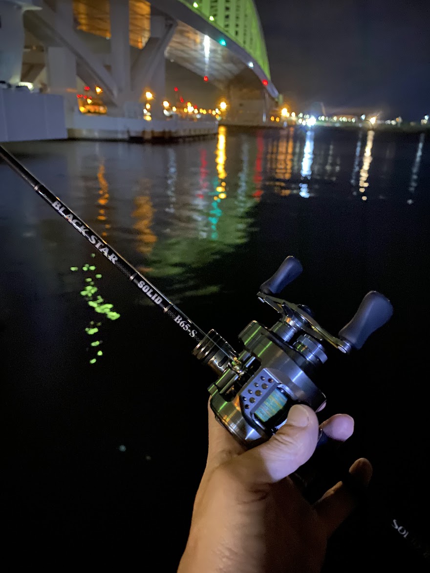 インプレ】ゼスタ ブラックスター ソリッド ベイトランサーB65-S