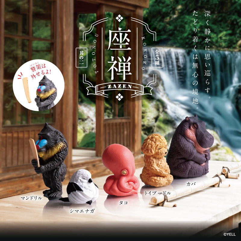 座禅～其の二～ | Yell World｜エールワールド