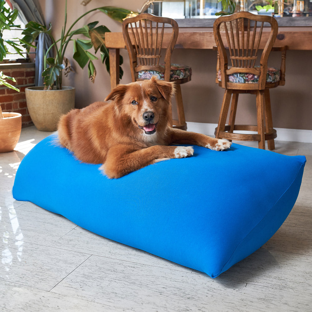 yojibo max ライトブルー ダークブラウン yojibo max ライトブルー