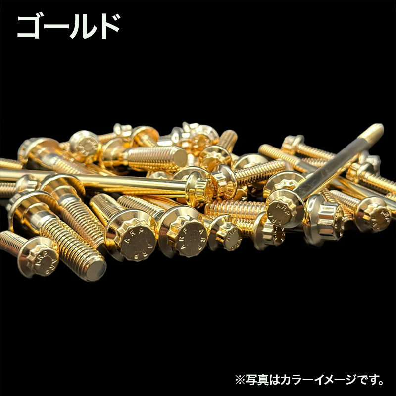 ARPボルトキット ポイントカバー 2穴用 / パインバレー