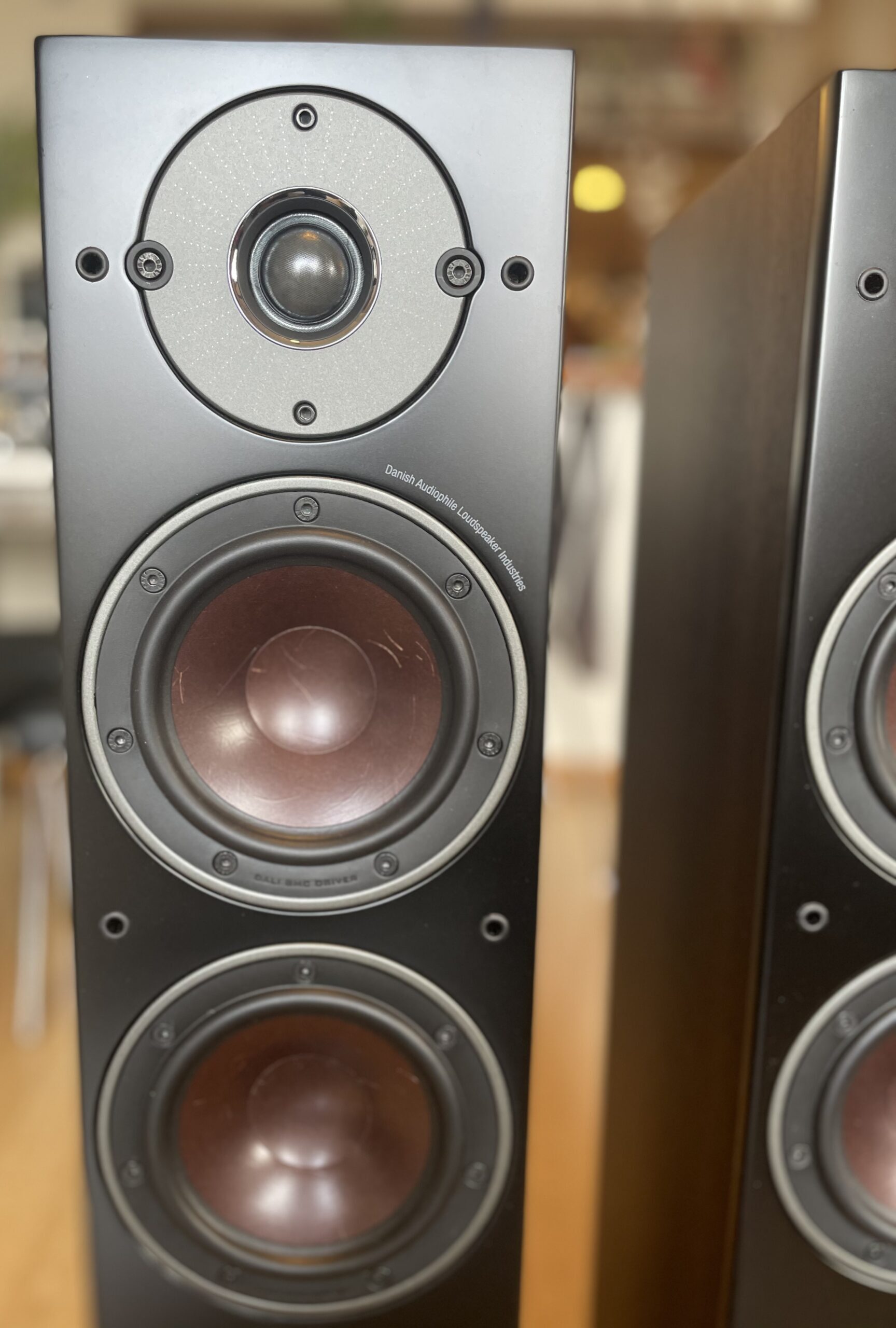 レビュー】DALI OBERON5 音楽にもホームシアターにも最適！ - よしかの半解