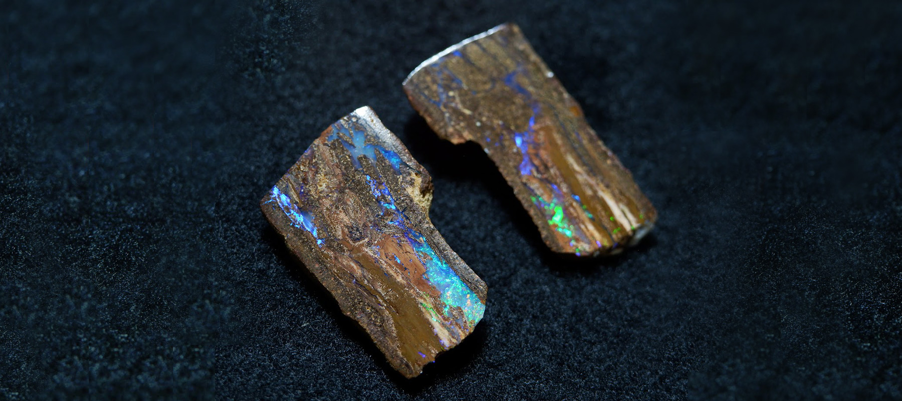 ピクチャーオパール」 | 洋灯舎