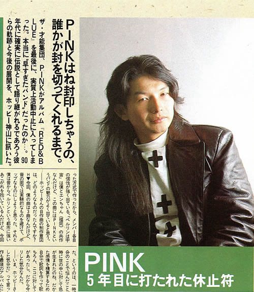 PINK 5年目に打たれた休止符 - PINKの断片