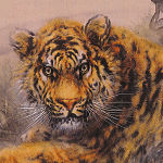 大橋翠石に私淑した都城の虎の画家・小山田秋甫