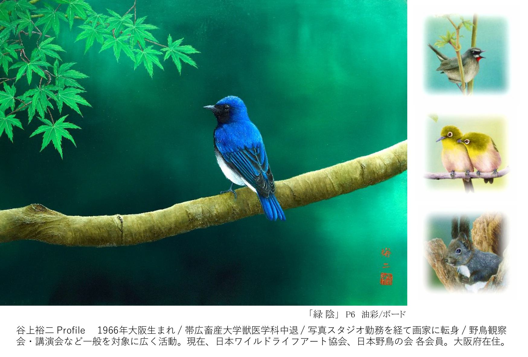 YUJI TANIGAMI | With Nature | 絵と写真で綴る生きものたちの世界