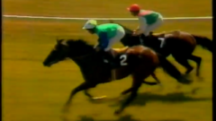 中島国治氏関連馬 | 雪の家雑記帳