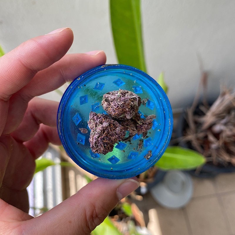 49herb cannabis shop」Surasakの激安ディスペンサリー｜バンコク