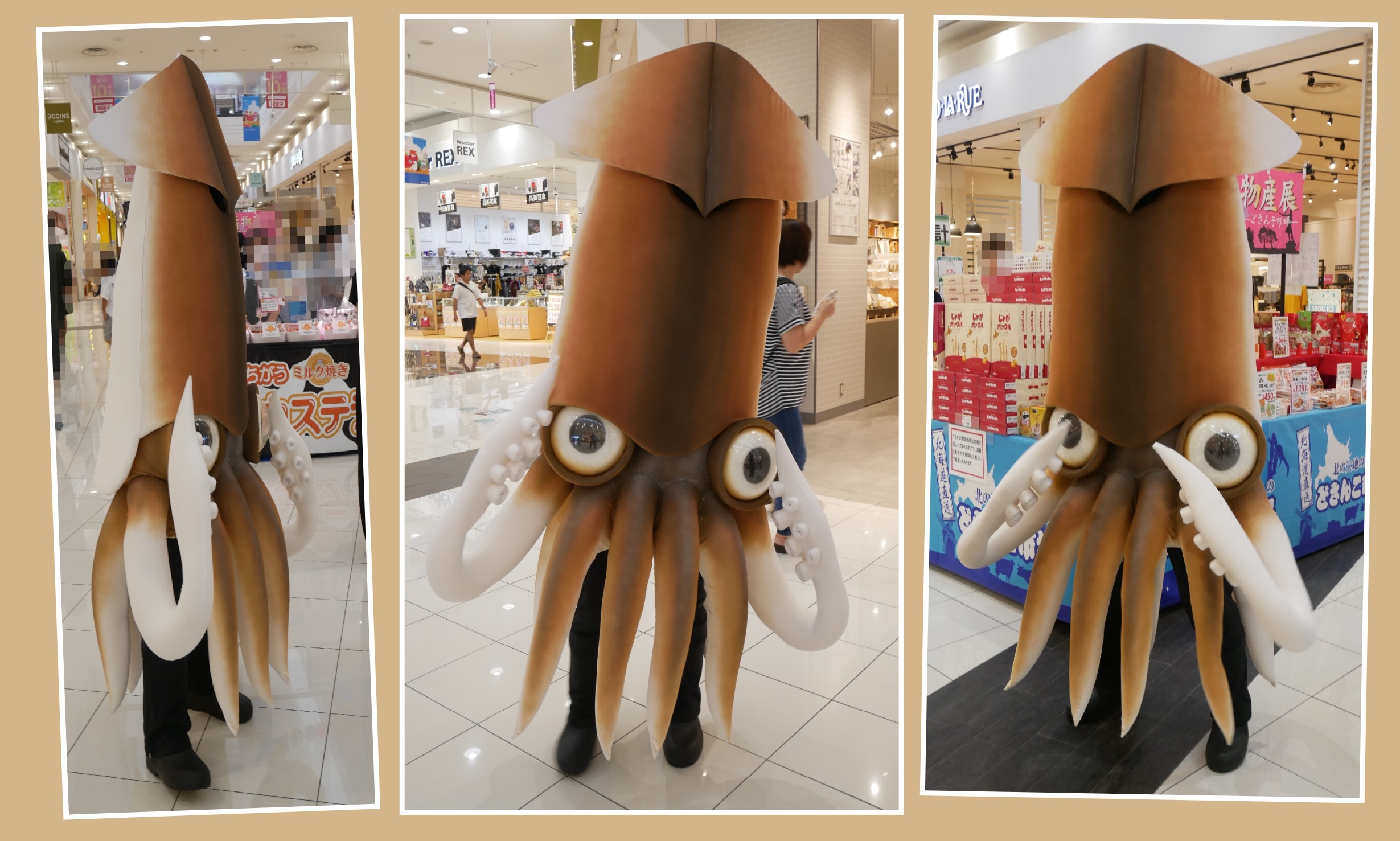 イカール星人」と函館のイカ｜ゆるキャラ