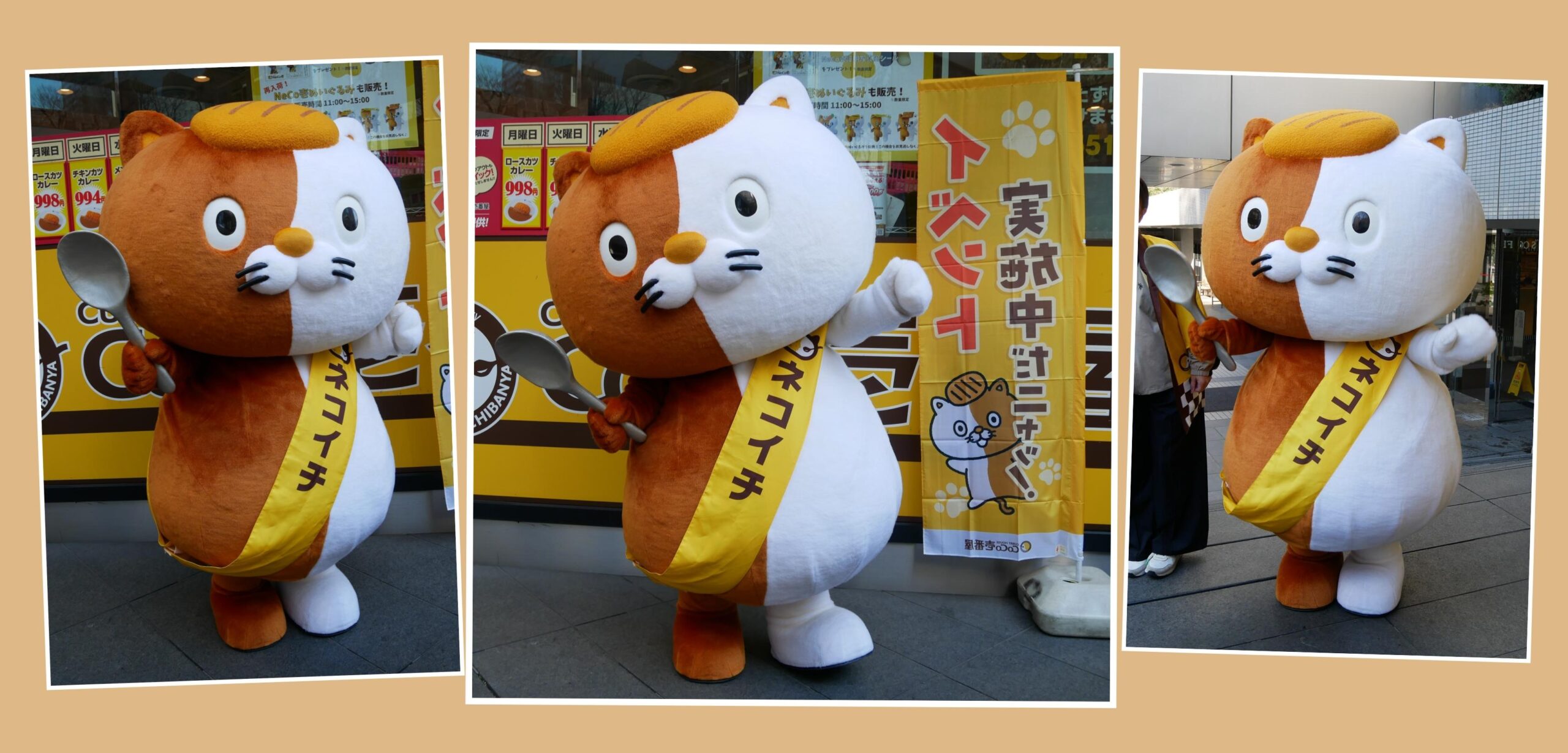 CoCo壱番屋(ココイチ)をPRするNeCo壱(ネコイチ)｜ゆるキャラ