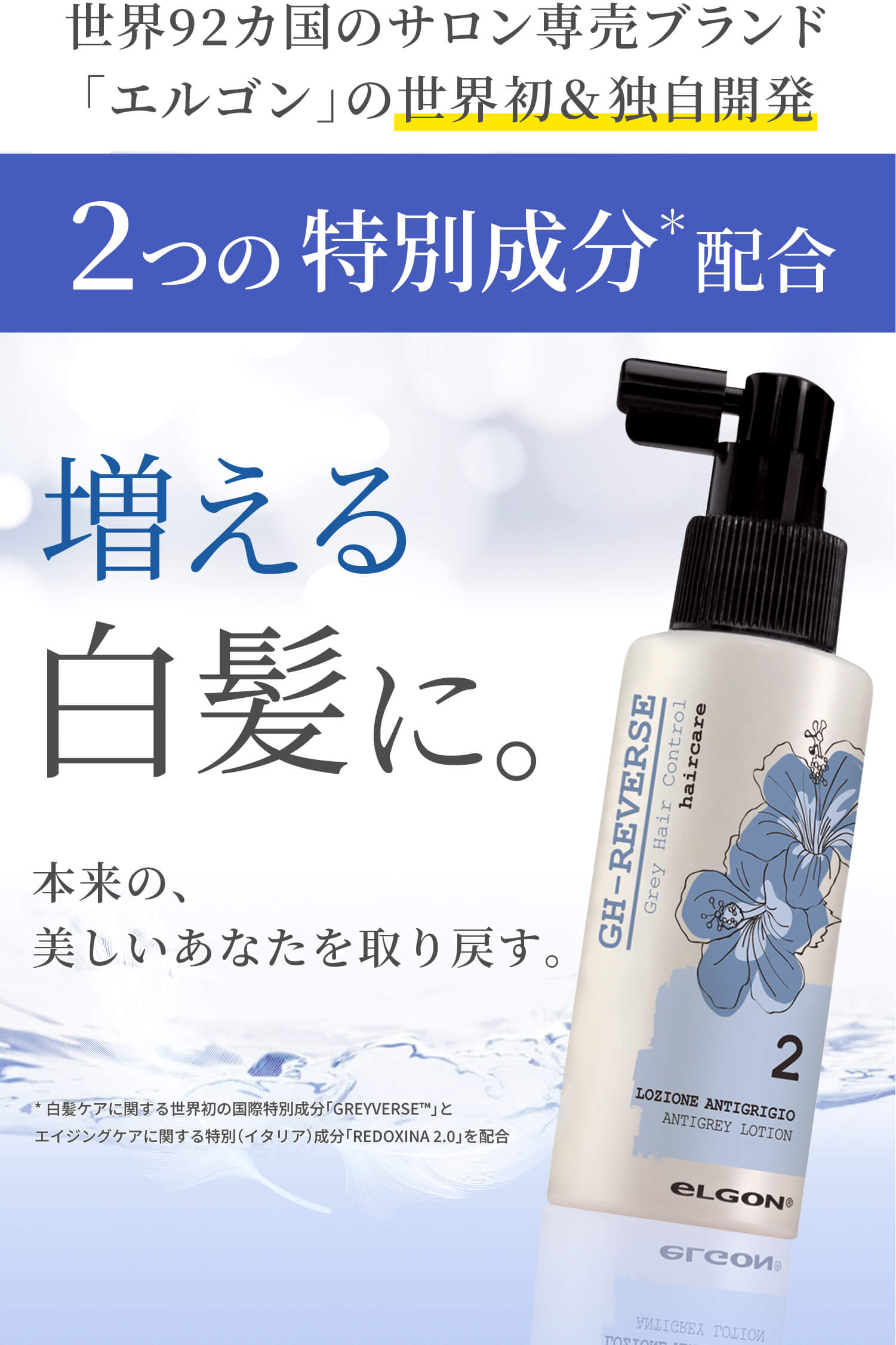 GH-REVERSE｜エルゴン正規販売｜{%.shop.name %}