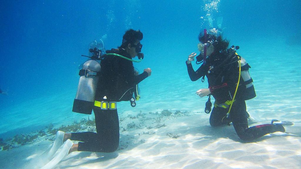 マリンメニュー – ザマミセーリング