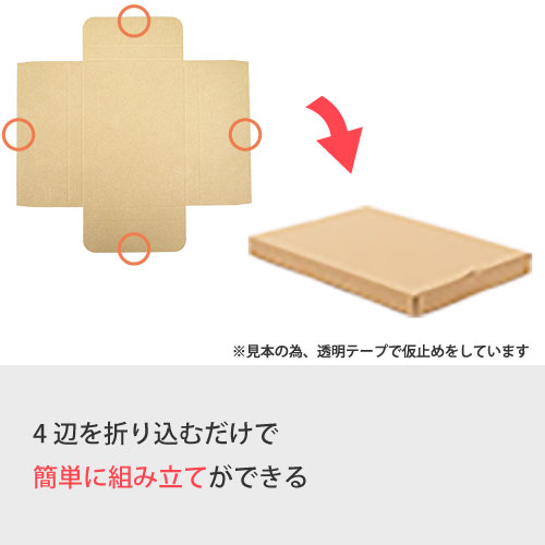 ZAP タトウ式(ヤッコ型)メール便ケース ネコポスB5 【厚み24mm】277