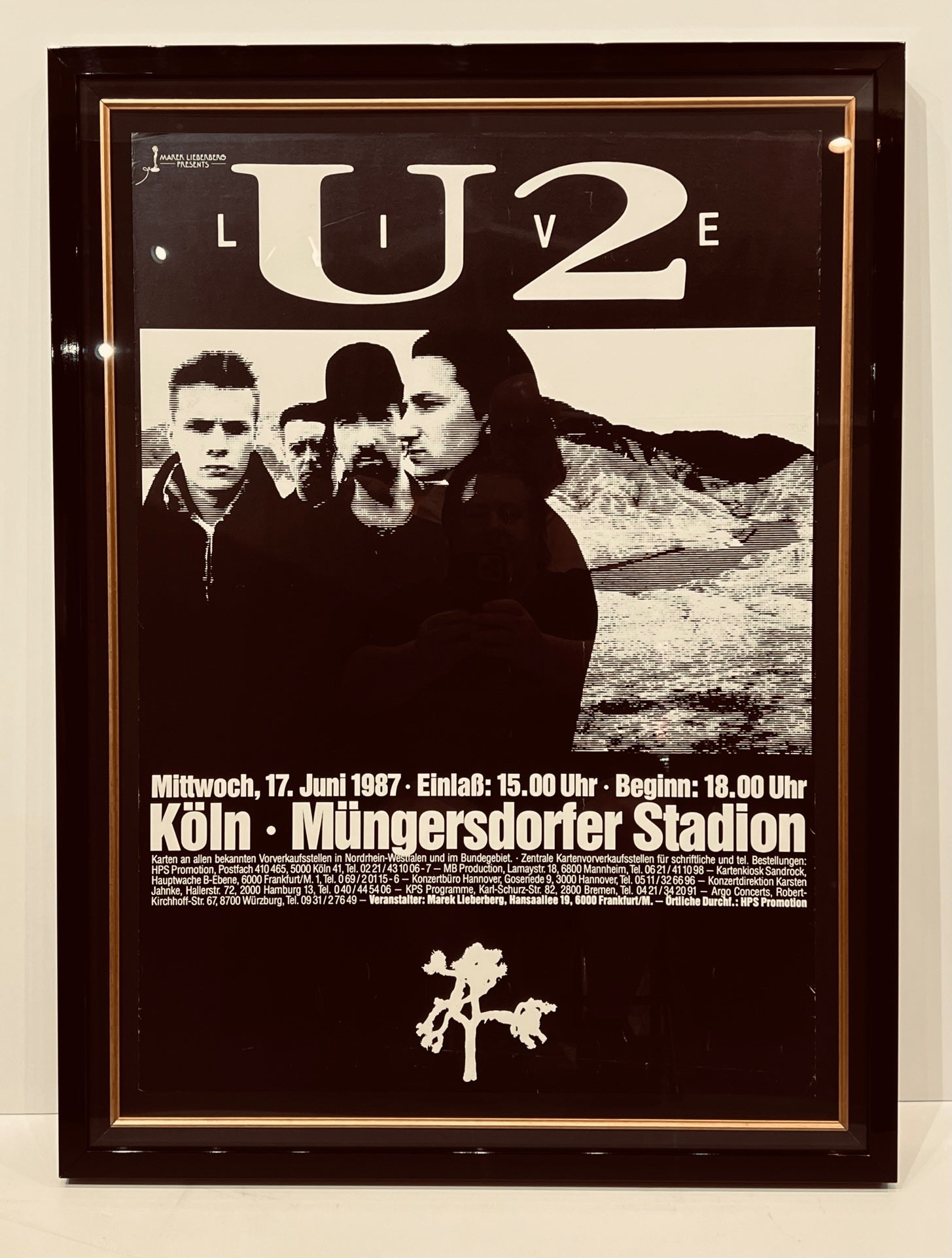 U2 LIVE JOSHUA TREE TOUR GERMAN CONCERT POSTER (1987) – Zazoo Fine