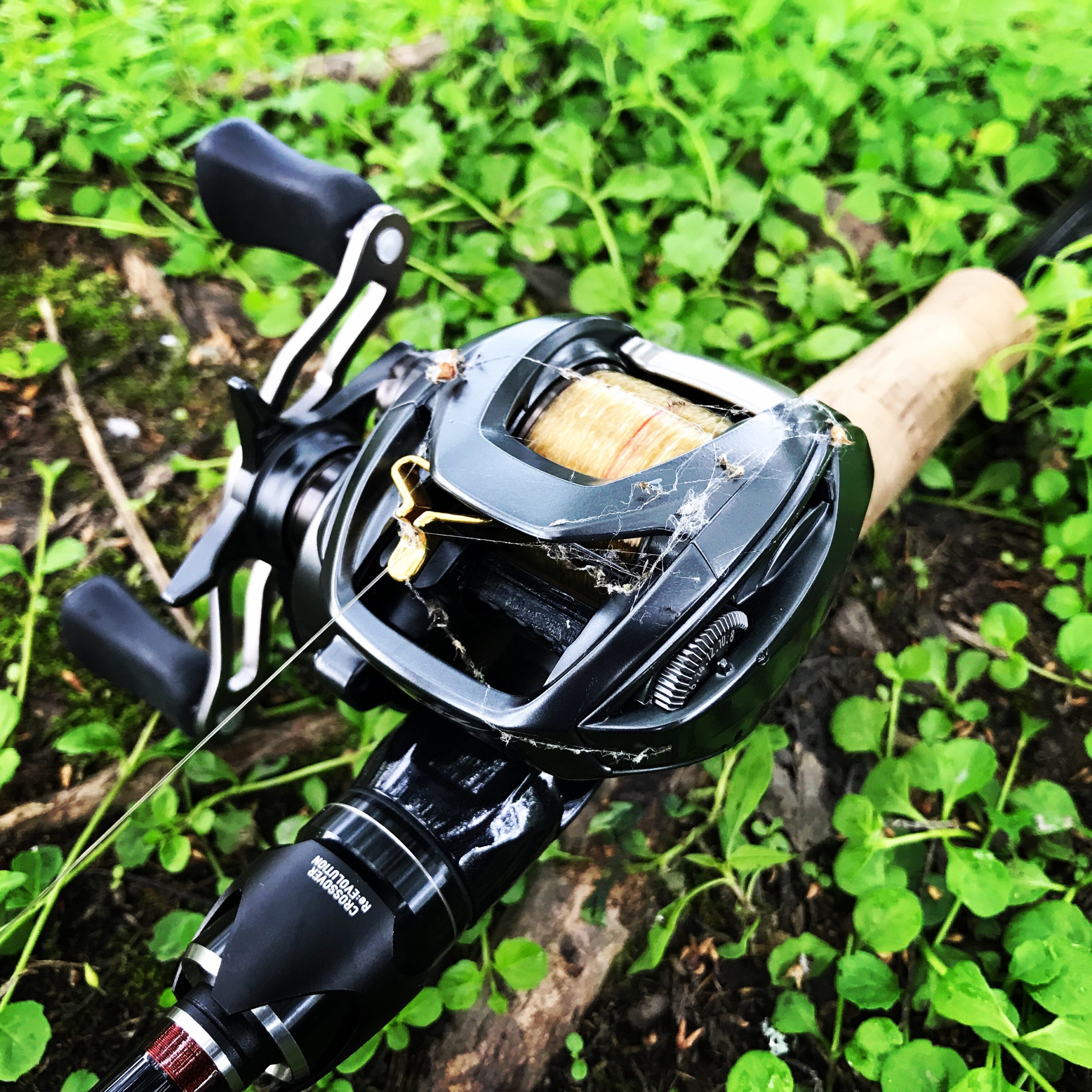 使ってわかった！16スティーズSV TWがバス釣り最強ベイトリールです