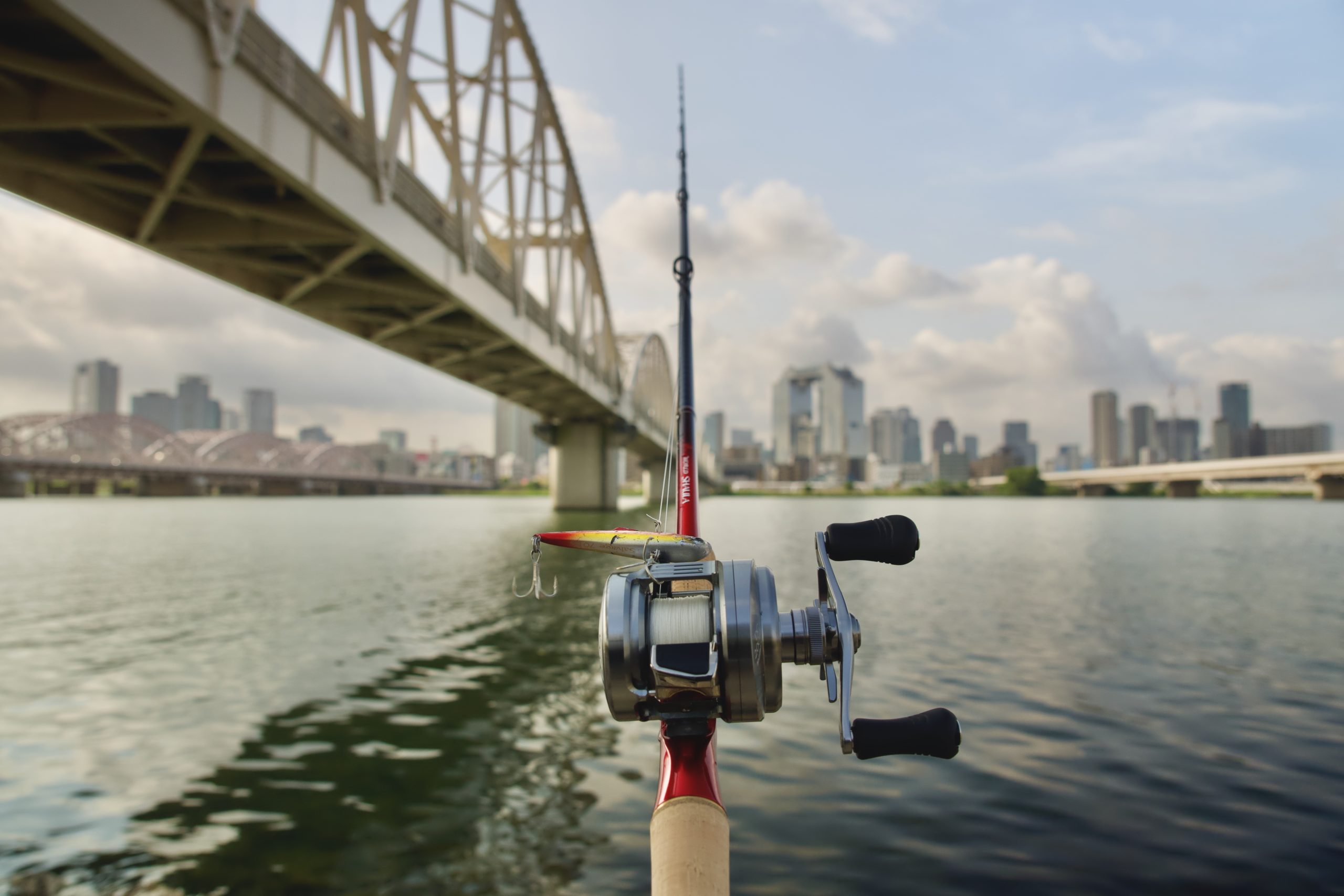 未使用 シマノ シャウラ 1501FF スコーピオンシャウラ1501FF-4 希少