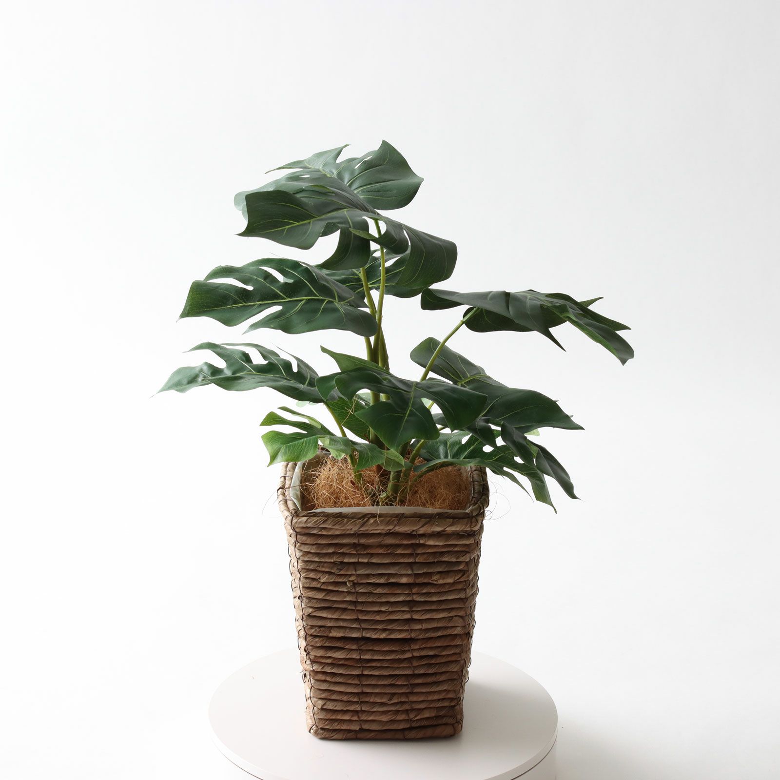 No92451 プレミアム光触媒フェイクグリーン 「個性際立つ12枚の葉