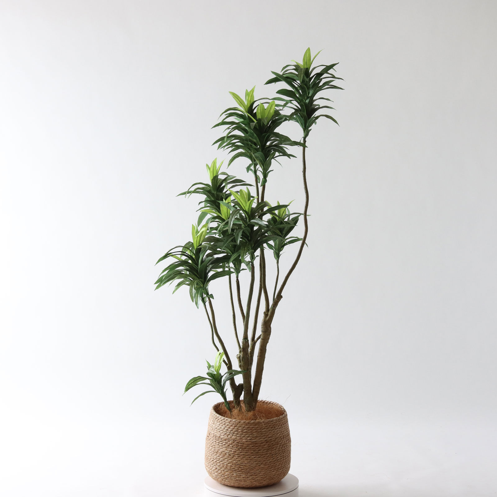 No8449 プレミアム光触媒フェイクグリーン 「狭い空間にも映える