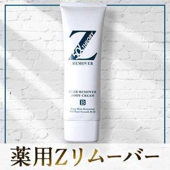 リムーバー｜ゼロファクター-[ZerofactoR]