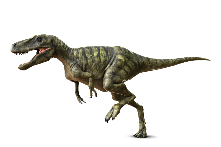 ナノティラヌス - バーチャル恐竜図鑑